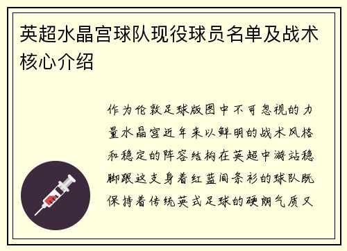 英超水晶宫球队现役球员名单及战术核心介绍